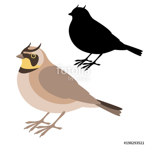 500x500 Horned Lark Bird Vector Illustration Flat Style Silhouette Stock