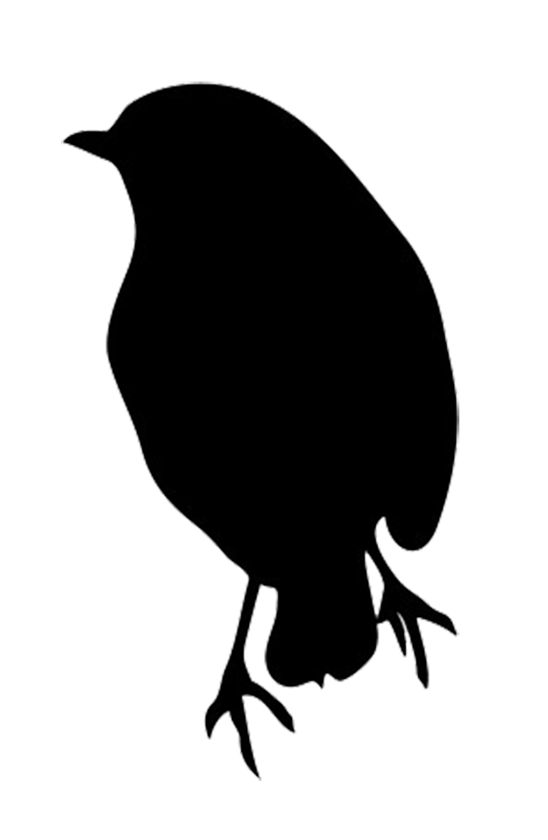612x938 Silhouette Of Robin Desenho Silhuetas