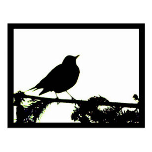 307x307 Robin Bird Silhouette Gifts Amp Gift Ideas Zazzle Uk