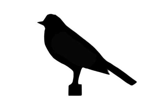 500x333 Robin Dowden (@rdowden) Twitter