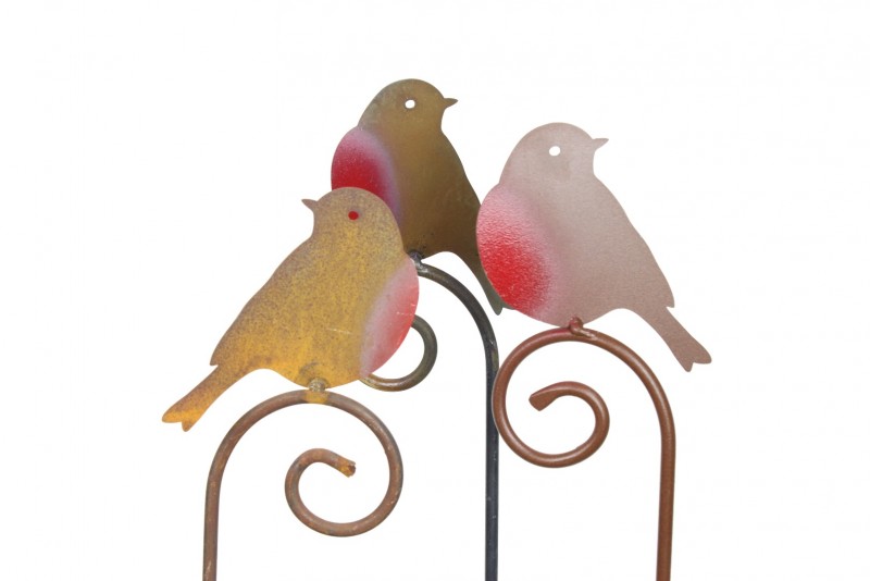 800x534 Robin Silhouette