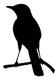 236x335 Silhouette Of Robin Desenho Silhuetas