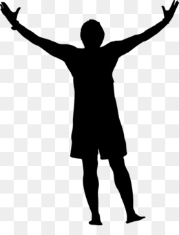 260x340 Marine The Raccoon Desktop Wallpaper