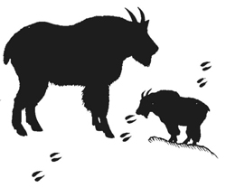 250x208 Vol 19, No 1