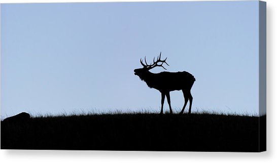 546x322 Elk Mountain Canvas Prints