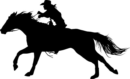 550x333 Rodeo Theme