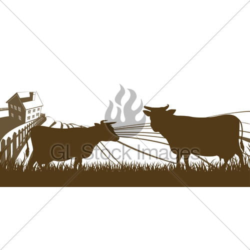 500x500 Cows And Farm Rolling Hills Landscape Gl Stock Images