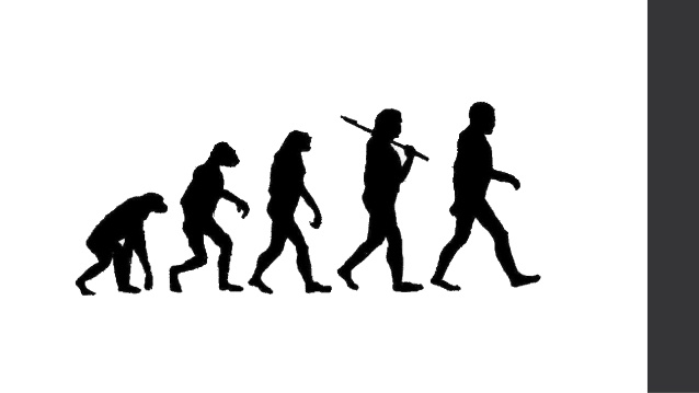 638x359 Evolutionary Architecture Guiding Principles