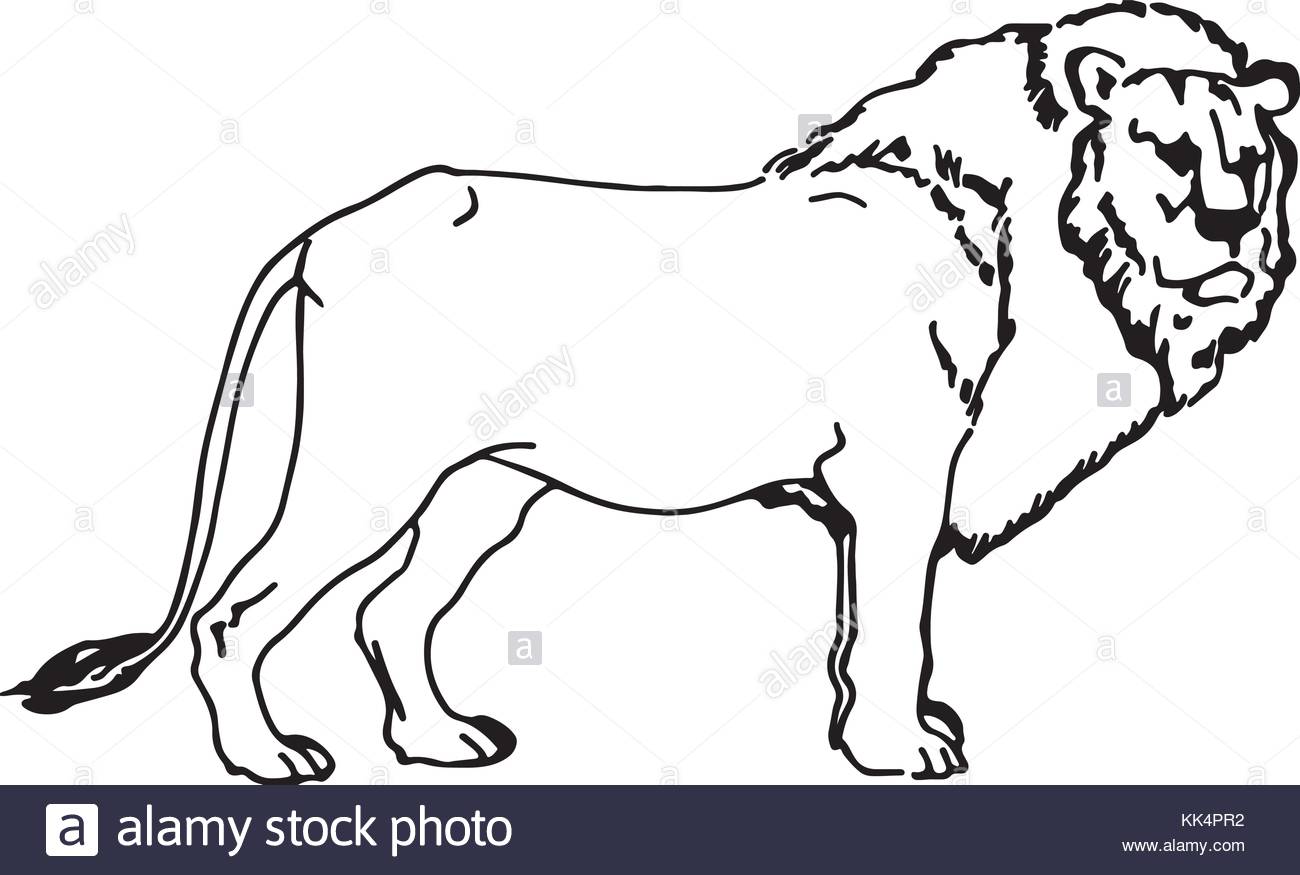 1300x875 Silhouette Lion Stock Photos Amp Silhouette Lion Stock Images