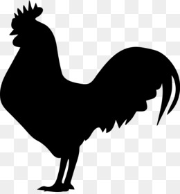 260x280 Chicken Visual Arts Clip Art