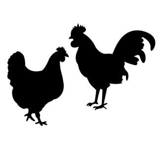 324x300 Chicken Clip Art Free Chicken Clip Art Image