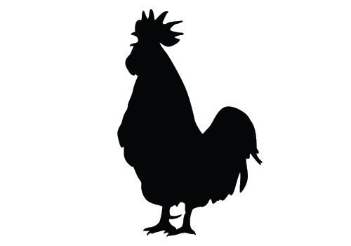 500x350 Chicken Silhouette Clipart