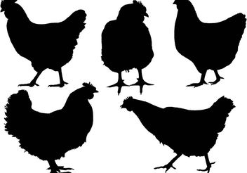 352x246 Chicken Silhouette Vector Free Vector Download 328933 Cannypic