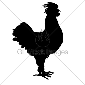 325x325 Rooster Silhouette Gl Stock Images