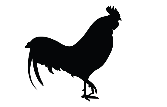 550x354 Rooster Silhouette Vector Free Download Birds Vector Graphics