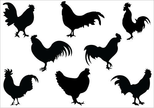 501x351 Rooster Silhouettes Tats Silhouettes, Clip Art