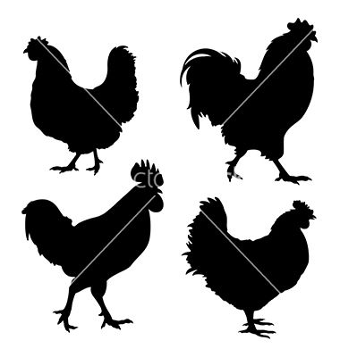 380x400 Chicken Silhouette Vector Medows Silhouette