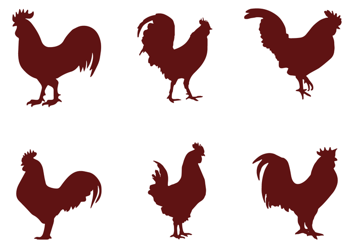 700x490 Rooster Silhouette Vectors
