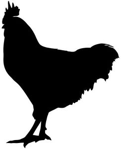 244x300 Rooster 2 Decal Sticker Kitchen Silhouette Custom Living Room