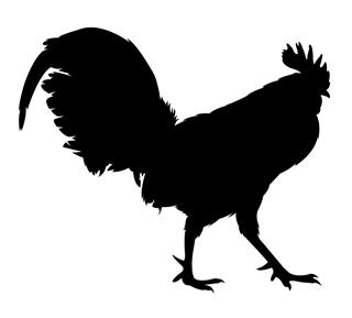 320x289 Rooster Silhouette 2 Decal Sticker