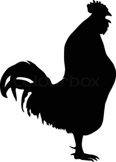 230x320 Silhouette Of A Rooster Isolated On White Stock Vector Colourbox