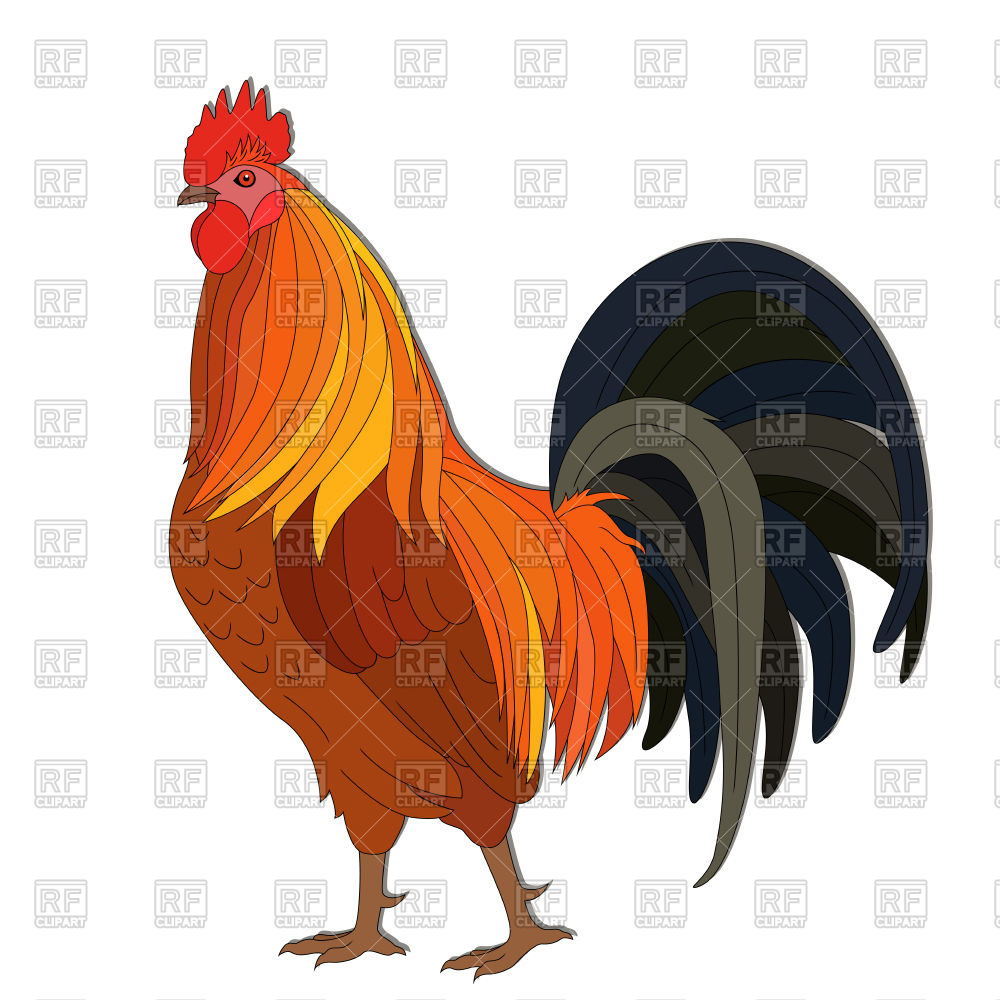 1000x1000 Arrogant Rooster With Dark Tail Royalty Free Vector Clip Art Image