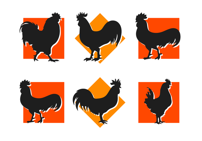 700x490 Rooster Silhouettes Vector Icons Free