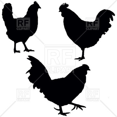 400x400 Roosters And Hen Silhhouettes Royalty Free Vector Clip Art Image
