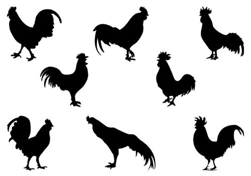 500x350 Rooster Silhouette