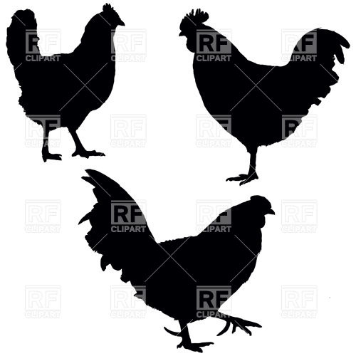 500x500 Roosters And Hen Silhhouettes Royalty Free Vector Clip Art Image