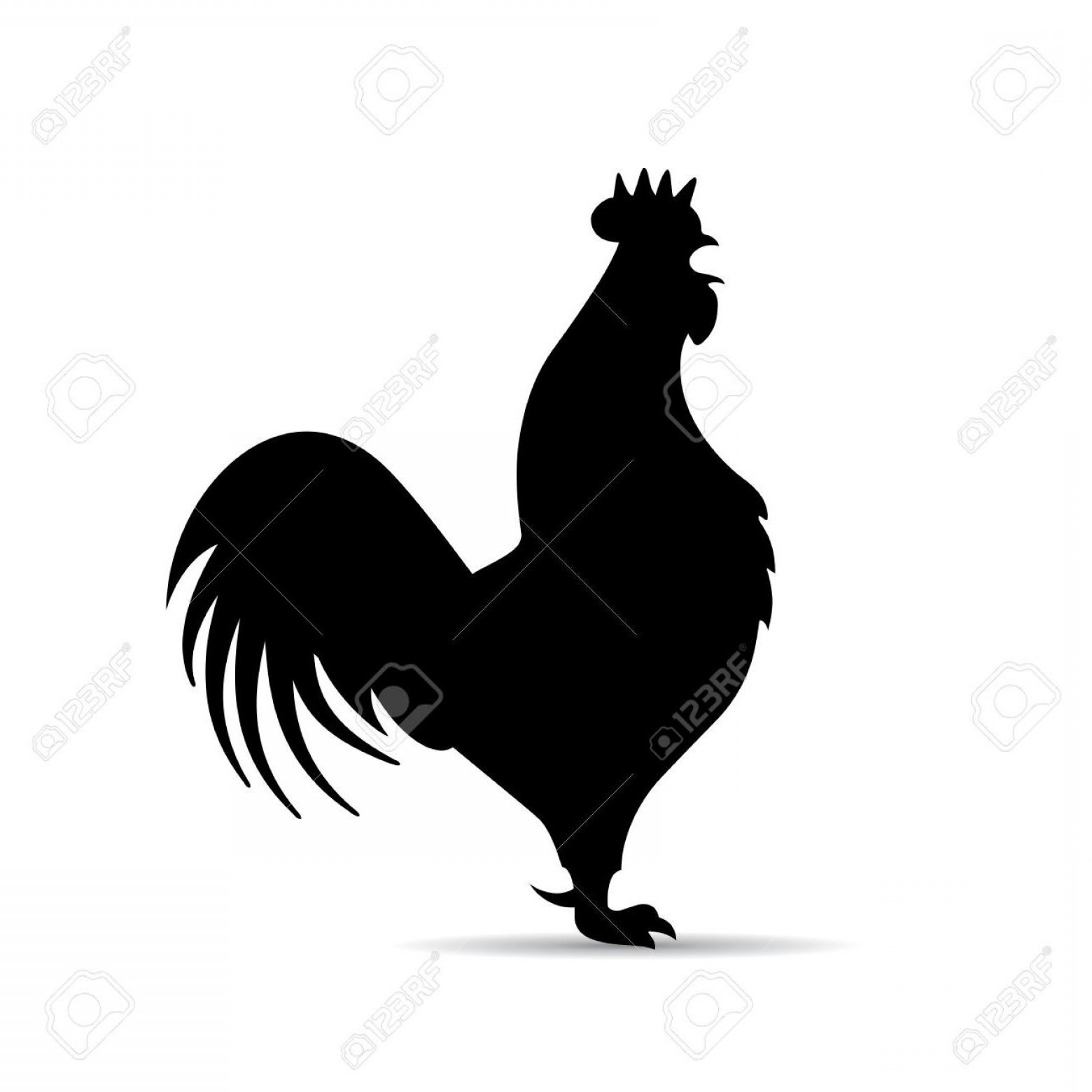 1560x1560 The Best Fighting Roosters Vector Lazttweet