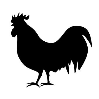 340x340 Free Cliparts Silhouette, Chicken, Chicken