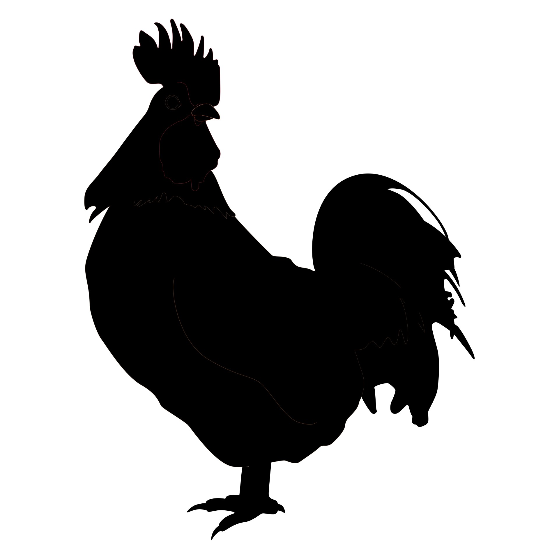 1920x1920 Rooster Free Stock Photo