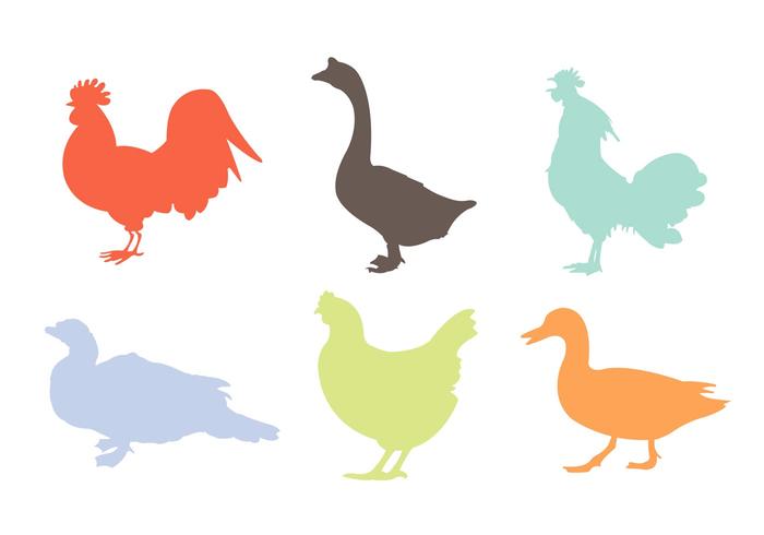 700x490 Variety Silhouettes Of Roosters And Other Poultries