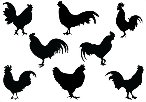 501x351 Rooster Silhouette Clip Art