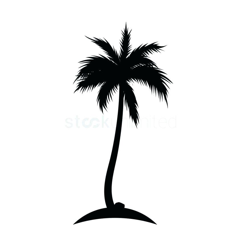 863x863 Outline Tree Branches Of Roots Three Outline Of Tree