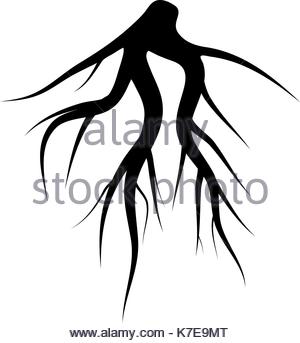 300x343 Tree Underground Roots Vector Set. Illustration Isolated Stock