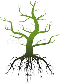 228x320 Tree Silhouette With Roots Stock Vector Colourbox