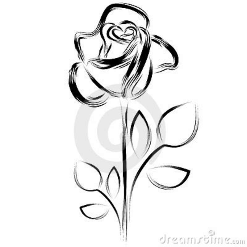 800x800 White Rose Clip Art Free Silhouette Of A Rose Royalty Free Stock