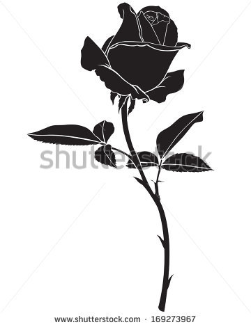 360x470 Yellow Rose Silhouette Clipart