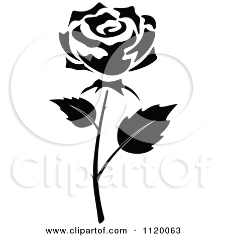 450x470 Black Rose Clip Art