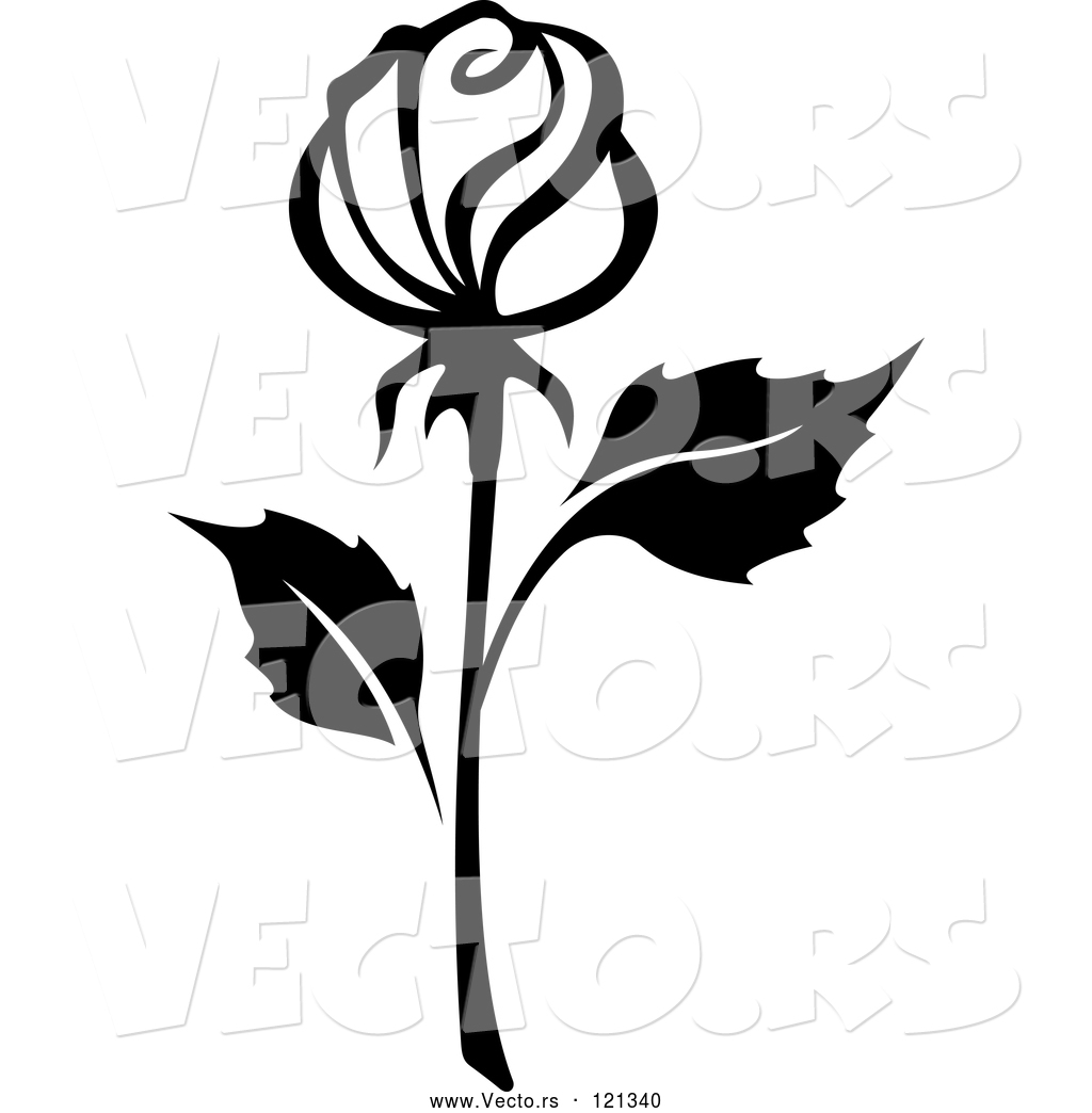 1024x1044 Vector Of Black And White Rose Flower 15 By Vector Tradition Sm