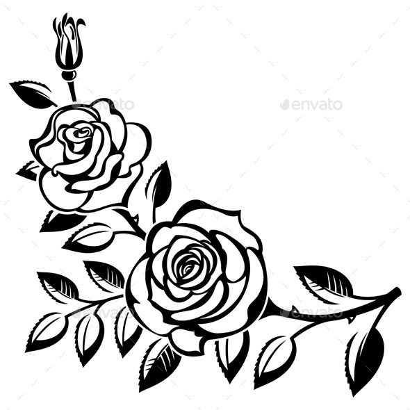 590x590 Branch Of Roses Art Cut, Ai Illustrator And Design Elements
