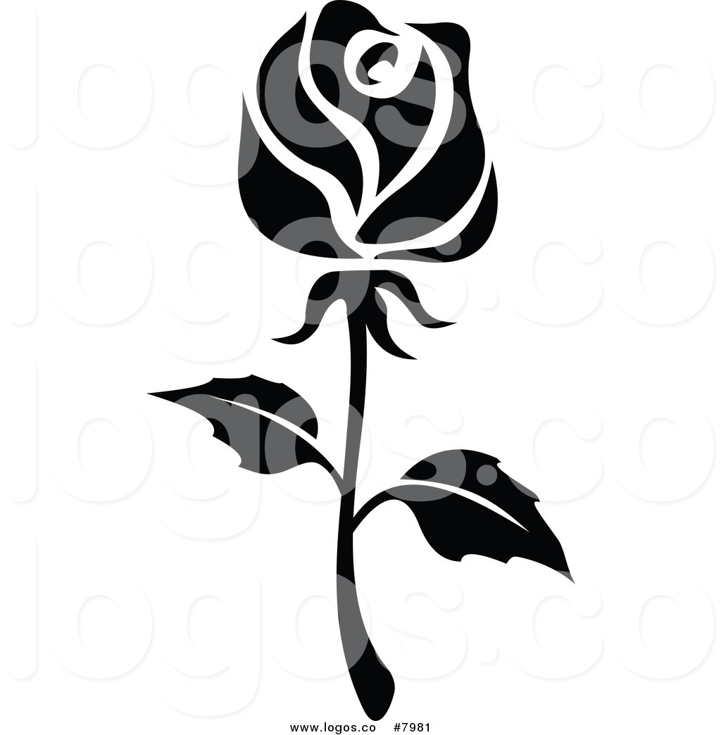 1024x1044 White Rose Clipart Silhouette