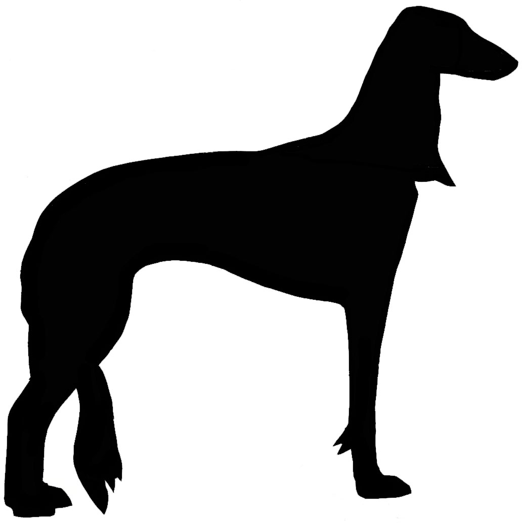 1032x1033 Norwich Terrier