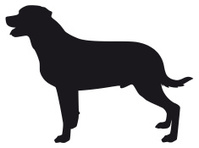 199x148 Rottweiler Dog Silhouette Stock Vector