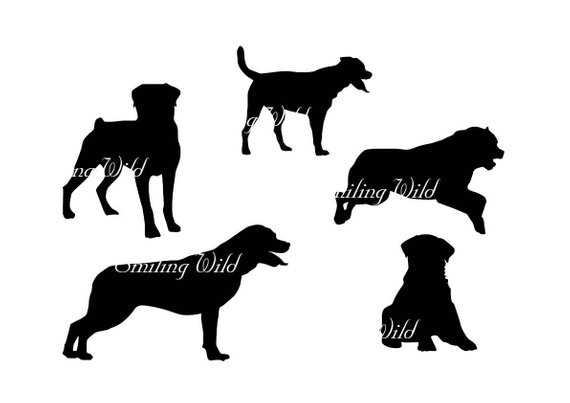 570x403 Rottweiler Svg Dog Clipart Silhouette Jumping Dog Running