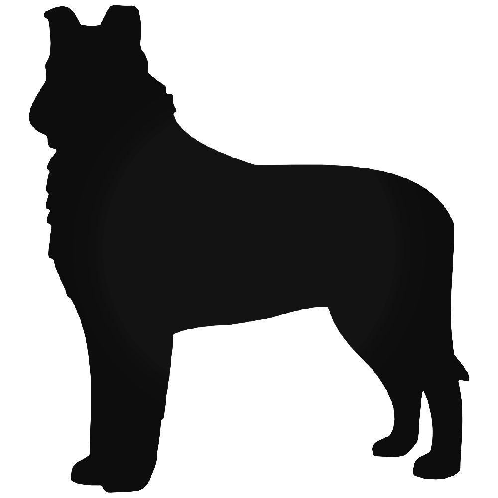 1000x1000 Collie Dog Vinyl Decal Sticker