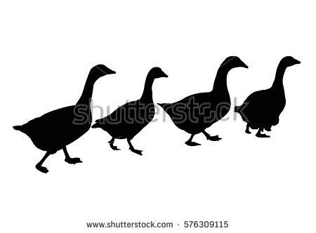 450x332 Row Of Ducks In Water Silhouette Clipart