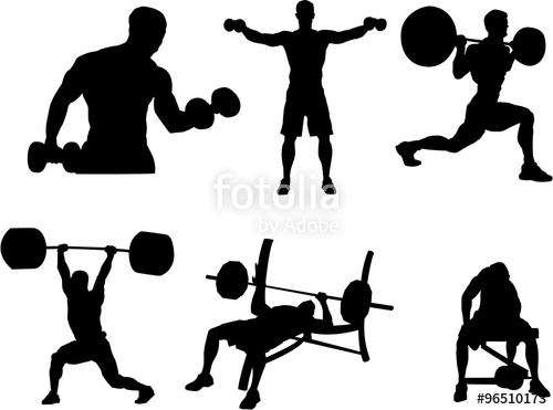 500x371 Set Of Bodybuilding Silhouette Stock Image And Royalty Free